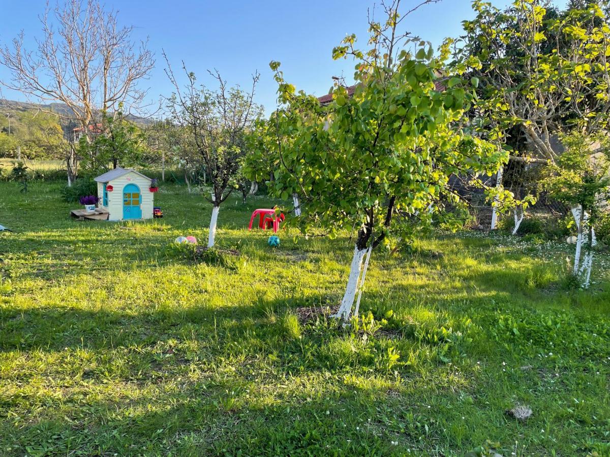Villa Sandra Litheres المظهر الخارجي الصورة